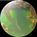 ./images/calvert/underwater/20260715/underwater20260715_065501M.jpg