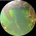 ./images/calvert/underwater/20260715/underwater20260715_070501M.jpg
