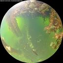 ./images/calvert/underwater/20260715/underwater20260715_071501M.jpg