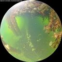 ./images/calvert/underwater/20260715/underwater20260715_072001M.jpg