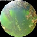 ./images/calvert/underwater/20260715/underwater20260715_073001M.jpg