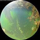 ./images/calvert/underwater/20260715/underwater20260715_073501M.jpg