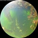 ./images/calvert/underwater/20260715/underwater20260715_074001M.jpg