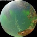 ./images/calvert/underwater/20260715/underwater20260715_081501M.jpg