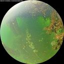 ./images/calvert/underwater/20260715/underwater20260715_084001M.jpg