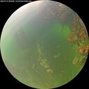 ./images/calvert/underwater/20260715/underwater20260715_085001M.jpg