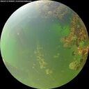 ./images/calvert/underwater/20260715/underwater20260715_090002M.jpg
