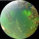 ./images/calvert/underwater/20260715/underwater20260715_093501M.jpg