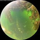 ./images/calvert/underwater/20260715/underwater20260715_094002M.jpg