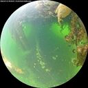 ./images/calvert/underwater/20260715/underwater20260715_094501M.jpg