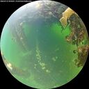 ./images/calvert/underwater/20260715/underwater20260715_095001M.jpg