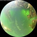 ./images/calvert/underwater/20260715/underwater20260715_100501M.jpg
