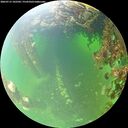 ./images/calvert/underwater/20260715/underwater20260715_102502M.jpg