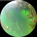./images/calvert/underwater/20260715/underwater20260715_110001M.jpg