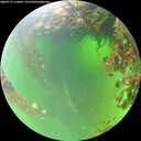 ./images/calvert/underwater/20260715/underwater20260715_112001M.jpg