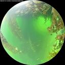 ./images/calvert/underwater/20260715/underwater20260715_112501M.jpg