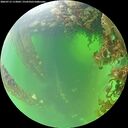 ./images/calvert/underwater/20260715/underwater20260715_113002M.jpg