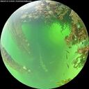 ./images/calvert/underwater/20260715/underwater20260715_113501M.jpg
