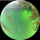 ./images/calvert/underwater/20260715/underwater20260715_114002M.jpg