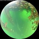 ./images/calvert/underwater/20260715/underwater20260715_114501M.jpg