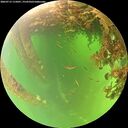 ./images/calvert/underwater/20260715/underwater20260715_115001M.jpg