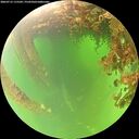 ./images/calvert/underwater/20260715/underwater20260715_115501M.jpg