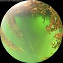 ./images/calvert/underwater/20260715/underwater20260715_121001M.jpg