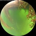 ./images/calvert/underwater/20260715/underwater20260715_121502M.jpg