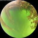 ./images/calvert/underwater/20260715/underwater20260715_122501M.jpg