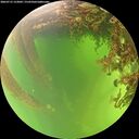 ./images/calvert/underwater/20260715/underwater20260715_123001M.jpg