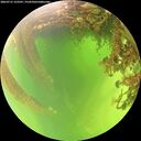 ./images/calvert/underwater/20260715/underwater20260715_123501M.jpg