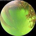 ./images/calvert/underwater/20260715/underwater20260715_124501M.jpg