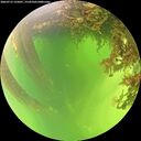 ./images/calvert/underwater/20260715/underwater20260715_125001M.jpg