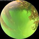 ./images/calvert/underwater/20260715/underwater20260715_125501M.jpg