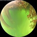 ./images/calvert/underwater/20260715/underwater20260715_131502M.jpg