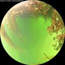 ./images/calvert/underwater/20260715/underwater20260715_133001M.jpg