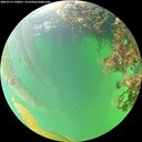 ./images/calvert/underwater/20260715/underwater20260715_140001M.jpg