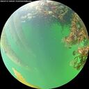 ./images/calvert/underwater/20260715/underwater20260715_140502M.jpg