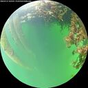 ./images/calvert/underwater/20260715/underwater20260715_142501M.jpg