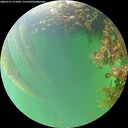 ./images/calvert/underwater/20260715/underwater20260715_151001M.jpg