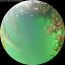 ./images/calvert/underwater/20260715/underwater20260715_155001M.jpg