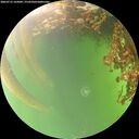 ./images/calvert/underwater/20260715/underwater20260715_165001M.jpg