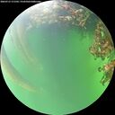 ./images/calvert/underwater/20260715/underwater20260715_171502M.jpg