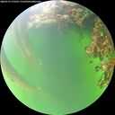 ./images/calvert/underwater/20260715/underwater20260715_175501M.jpg