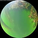 ./images/calvert/underwater/20260715/underwater20260715_181502M.jpg
