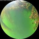 ./images/calvert/underwater/20260715/underwater20260715_182501M.jpg