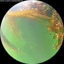 ./images/calvert/underwater/20260715/underwater20260715_184501M.jpg