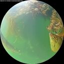 ./images/calvert/underwater/20260715/underwater20260715_194501M.jpg