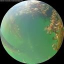 ./images/calvert/underwater/20260715/underwater20260715_201501M.jpg