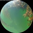 ./images/calvert/underwater/20260715/underwater20260715_204001M.jpg